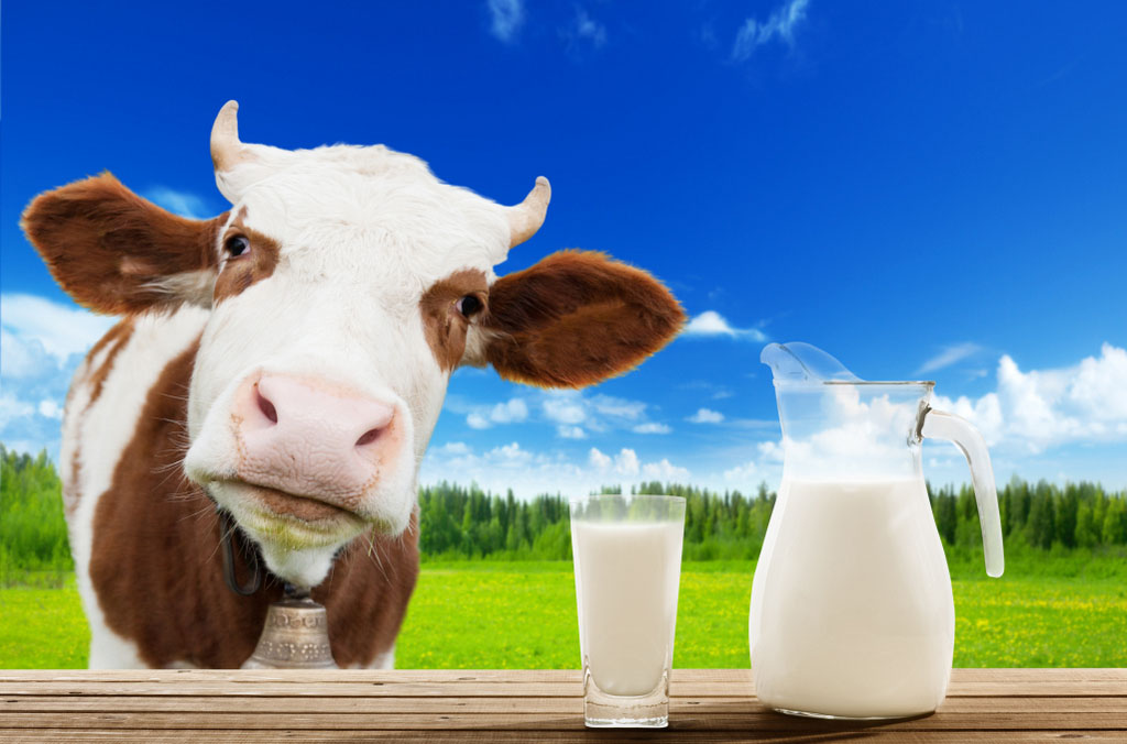 evitar-leite-de-vaca
